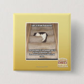 Gesetze von Kitteh Wahrscheinlichkeit Button (Vorderseite)