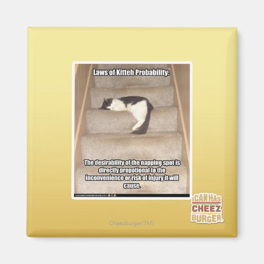 Gesetze zur Wahrscheinlichkeit des Kitts Magnet (Vorne)