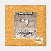 Gesetze zur Wahrscheinlichkeit des Kitts Magnet (Vorne)