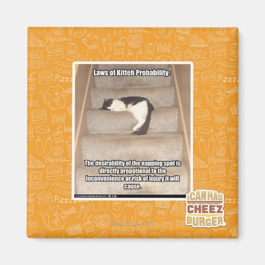 Gesetze zur Wahrscheinlichkeit des Kitts Magnet (Vorne)