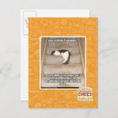 Gesetze zur Wahrscheinlichkeit des Kitts Postkarte (Vorne/Hinten)