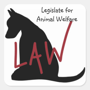 GESETZESaufkleber Quadratischer Aufkleber