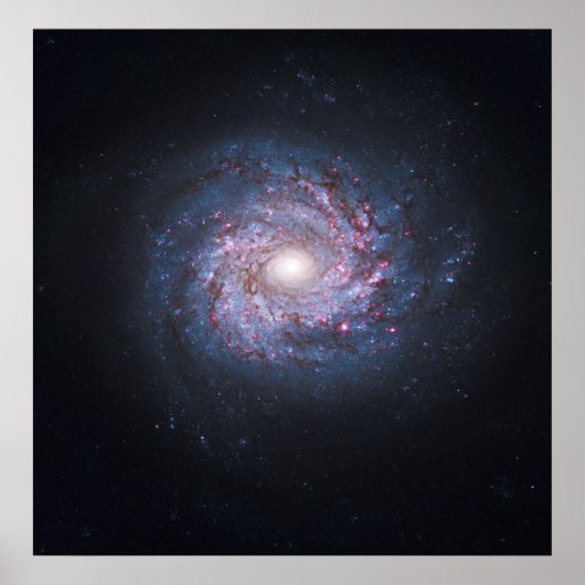 Gesicht auf Spiralgalaxie NGC 3982 vom Hubble Poster (Vorne)