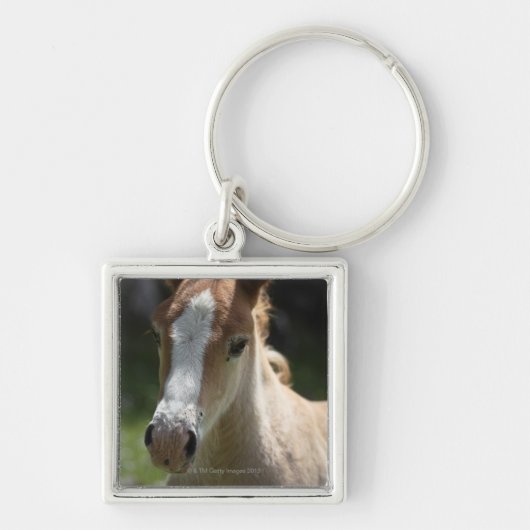 Gesicht des Fohlens Schlüsselanhänger (Vorne)