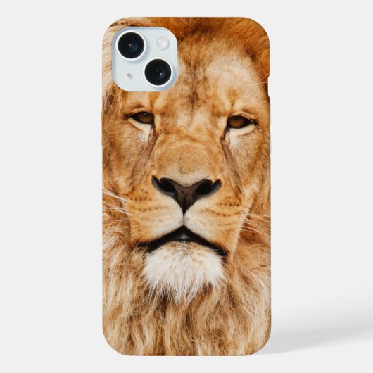 Gesicht des Löwen iPhone Hülle (Rückseite)