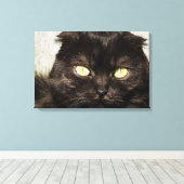 Gesicht einer jungen Munchkin-Kätzchen Leinwanddruck (Insitu (Holzboden))