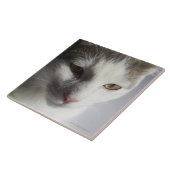Gesicht einer Katze Fliese (Seite)
