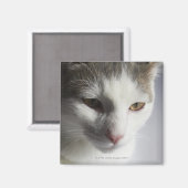 Gesicht einer Katze Magnet (Vorderseite/Rückseite)