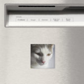 Gesicht einer Katze Magnet (In Situ (Geschirrspüler))