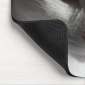 Gesicht einer Katze Mousepad (Ecke)