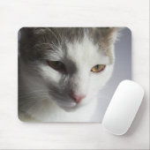 Gesicht einer Katze Mousepad (Mit Mouse)