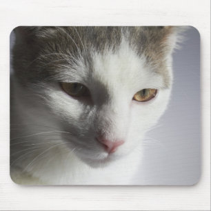 Gesicht einer Katze Mousepad