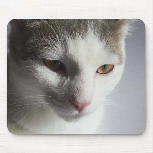 Gesicht einer Katze Mousepad (Vorne)