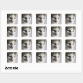 Gesicht einer Katze Quadratischer Aufkleber (Blatt)