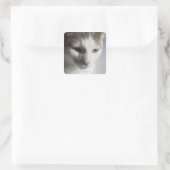 Gesicht einer Katze Quadratischer Aufkleber (Tasche)