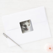 Gesicht einer Katze Quadratischer Aufkleber (Umschlag)