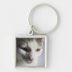 Gesicht einer Katze Schlüsselanhänger