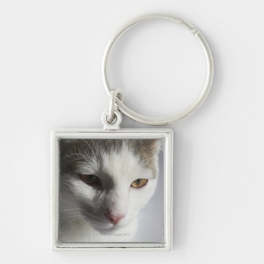 Gesicht einer Katze Schlüsselanhänger (Vorne)