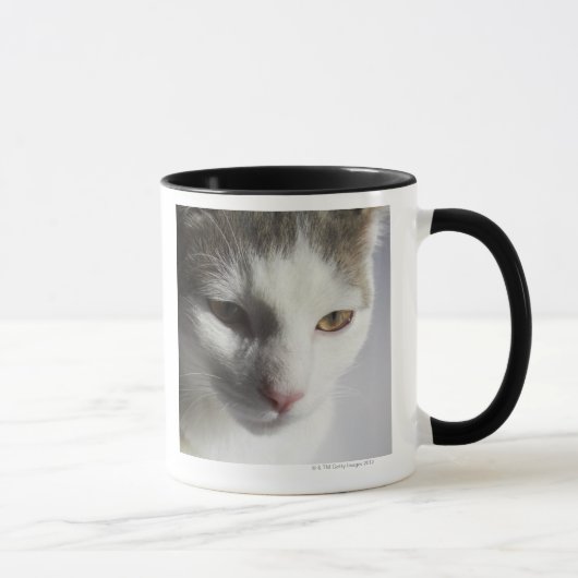 Gesicht einer Katze Tasse (Rechts)