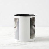 Gesicht einer Katze Tasse (Zentrum)