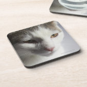 Gesicht einer Katze Untersetzer (Linke Seite)