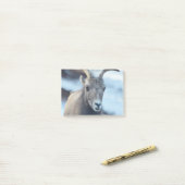 Gesicht eines Bighorn-Schafs Post-it Klebezettel (Auf Schreibtisch)