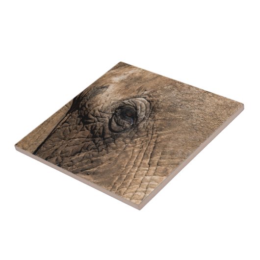 Gesicht eines Elefanten Fliese (Seite)