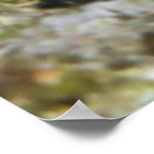 Gesicht eines Froschfisches Poster (Ecke)