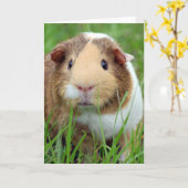 Gesicht eines Meerschweinchen-Fotos Karte (Gelbe Blume)