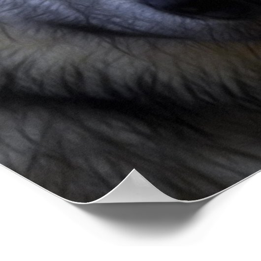 Gesicht eines Wolf-Fotos Poster (Ecke)