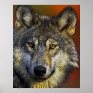 Gesicht eines Wolf-Fotos Poster