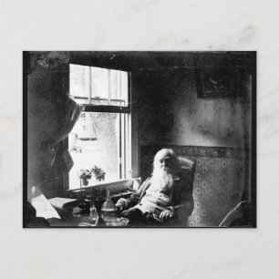 Gesicht immer zum Sonnenschein: Whitman in Mickle  Postkarte