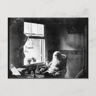Gesicht immer zum Sonnenschein: Whitman in Mickle  Postkarte