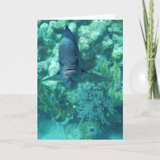 Gesicht-zu-Fische Karte (Vorderseite)