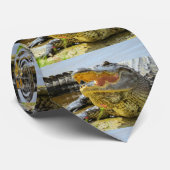 Gesicht zu Gesicht. Amerikaner Krawatte (Gerollt)