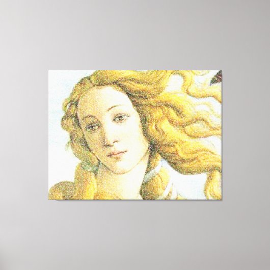 Gesichter der Venus Leinwanddruck (Vorderseite)