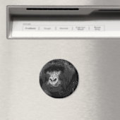 Gesichter des Gorillas Magnet (In Situ (Geschirrspüler))