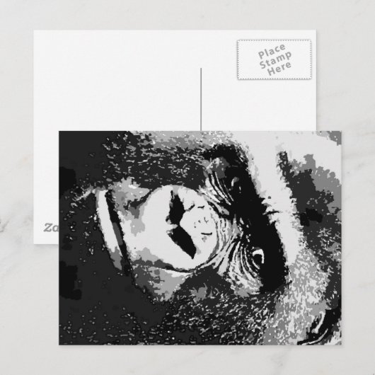 Gesichter des Gorillas Postkarte (Vorne/Hinten)
