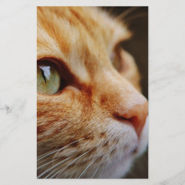 Gesichts einer Ingwerkatze bestimmt Briefpapier