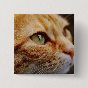 Gesichts einer Ingwerkatze bestimmt Button