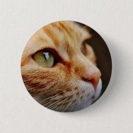 Gesichts einer Ingwerkatze bestimmt Button