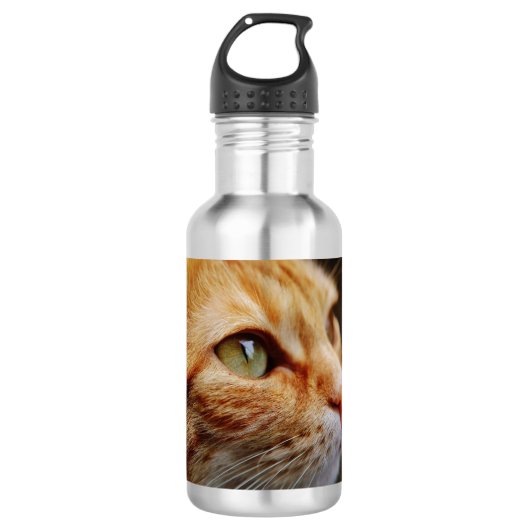 Gesichts einer Ingwerkatze bestimmt Edelstahlflasche (Vorderseite)