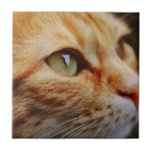 Gesichts einer Ingwerkatze bestimmt Fliese (Vorderseite)