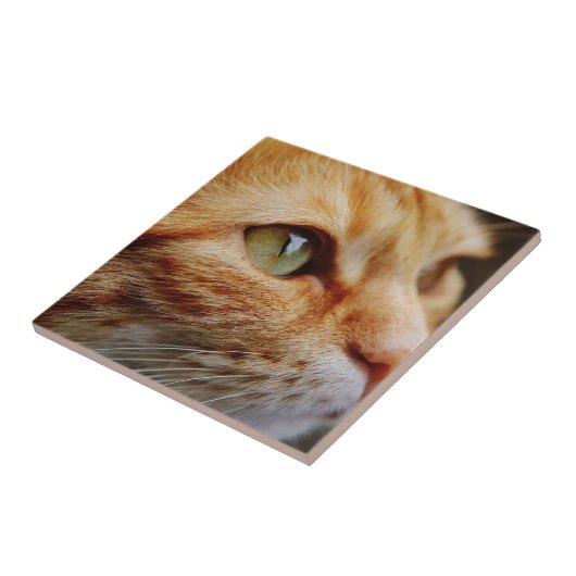 Gesichts einer Ingwerkatze bestimmt Fliese (Seite)