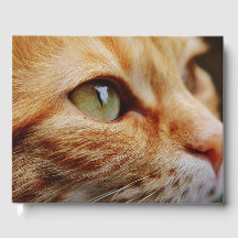 Gesichts einer Ingwerkatze bestimmt