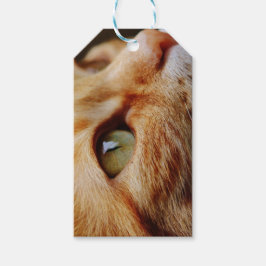 Gesichts einer Ingwerkatze bestimmt Geschenkanhänger