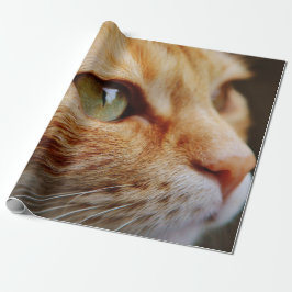 Gesichts einer Ingwerkatze bestimmt Geschenkpapier