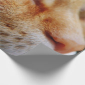 Gesichts einer Ingwerkatze bestimmt Geschenkpapier (Ecke)
