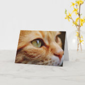 Gesichts einer Ingwerkatze bestimmt Karte (Gelbe Blume)