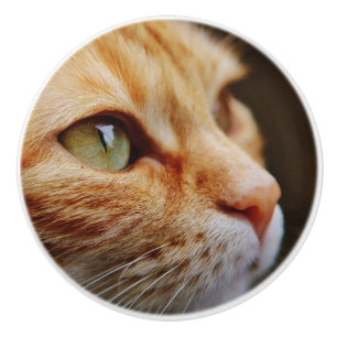 Gesichts einer Ingwerkatze bestimmt Keramikknauf
